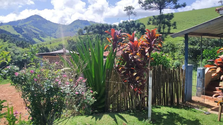 Imagem Chácara com 3 Quartos à Venda, 23.200 m² em Rio Lourenço Velho  - Delfim Moreira