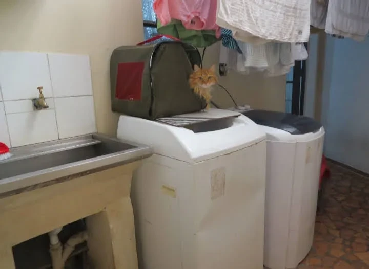 Imagem Sobrado com 3 Quartos à Venda, 115 m² em Jabaquara - São Paulo