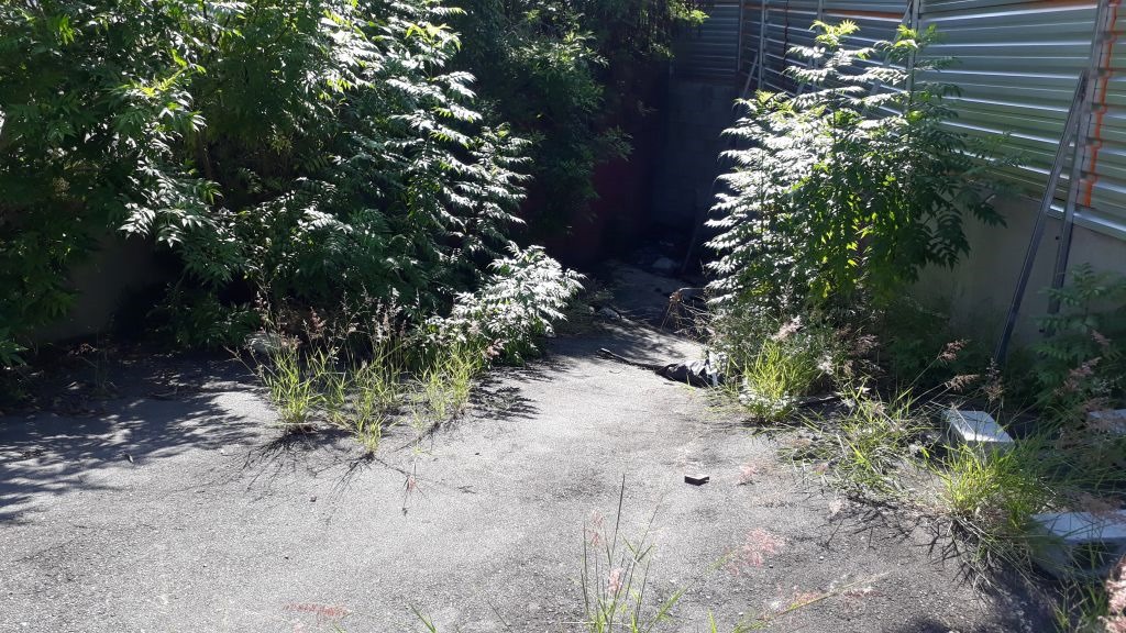 Imagem Terreno à Venda, 704 m²em Vila Mariana - São Paulo