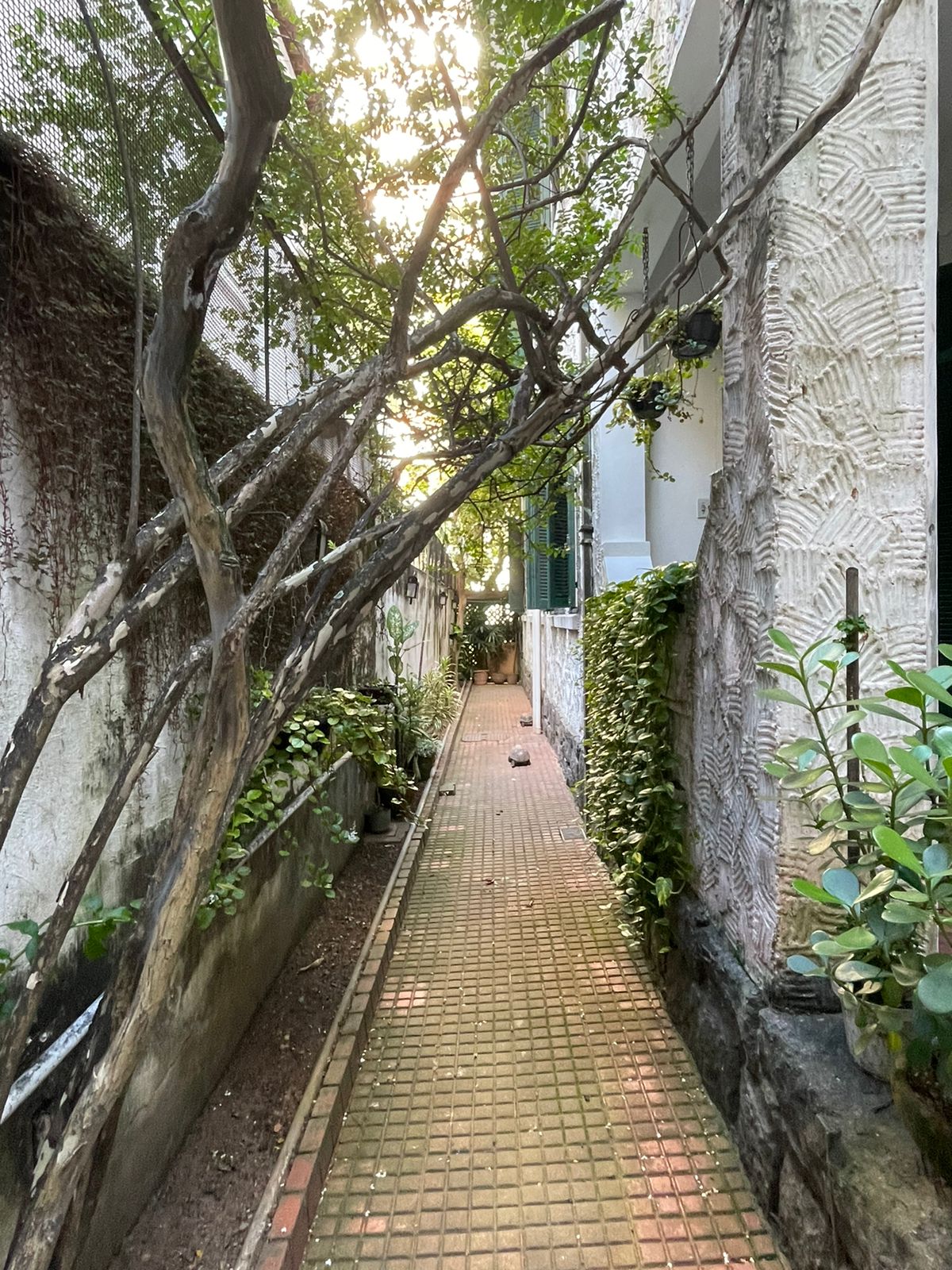 Imagem Casa com 10 Quartos à Venda, 470 m²em Botafogo - Rio de Janeiro