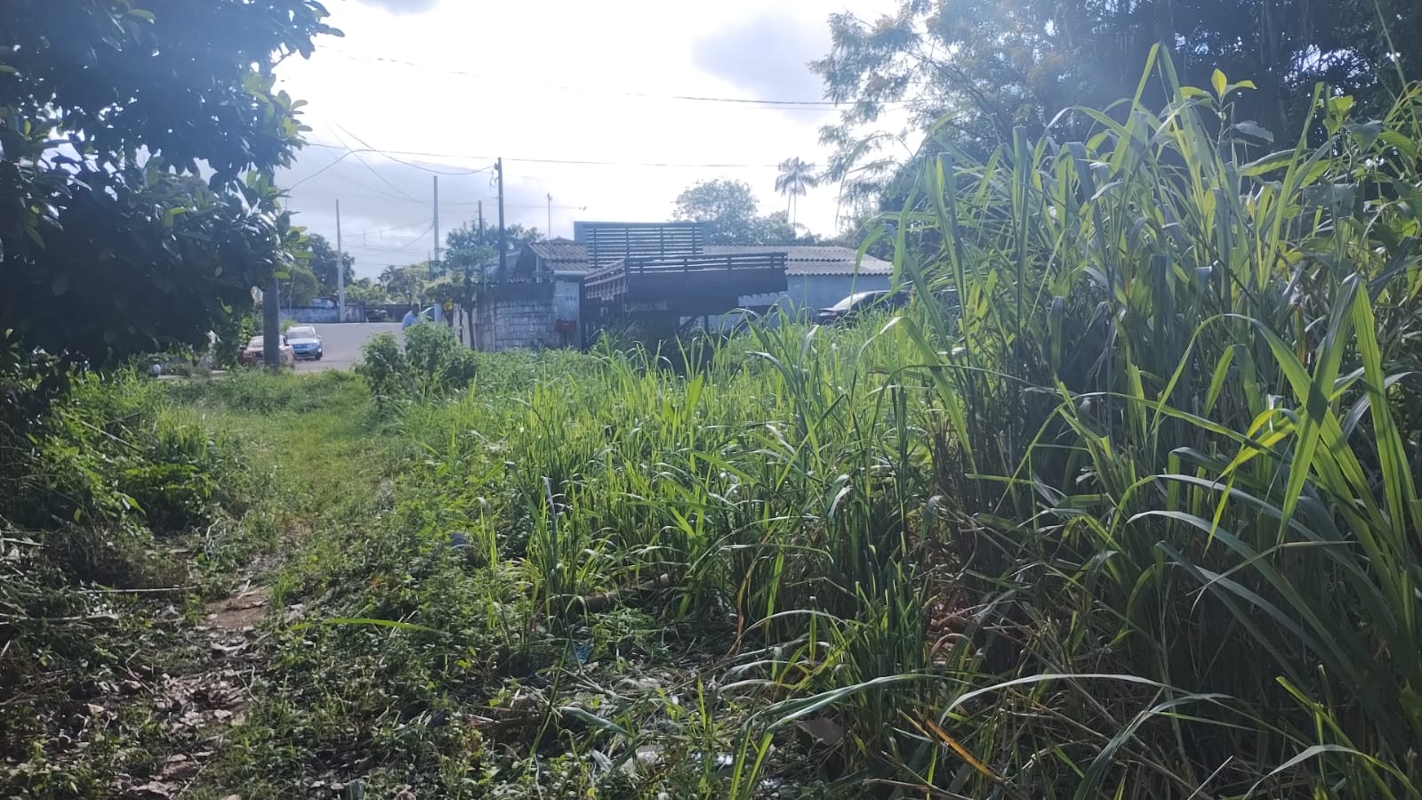 Imagem Terreno à Venda, 516 m²em Ana Dias - Itariri  - Itariri