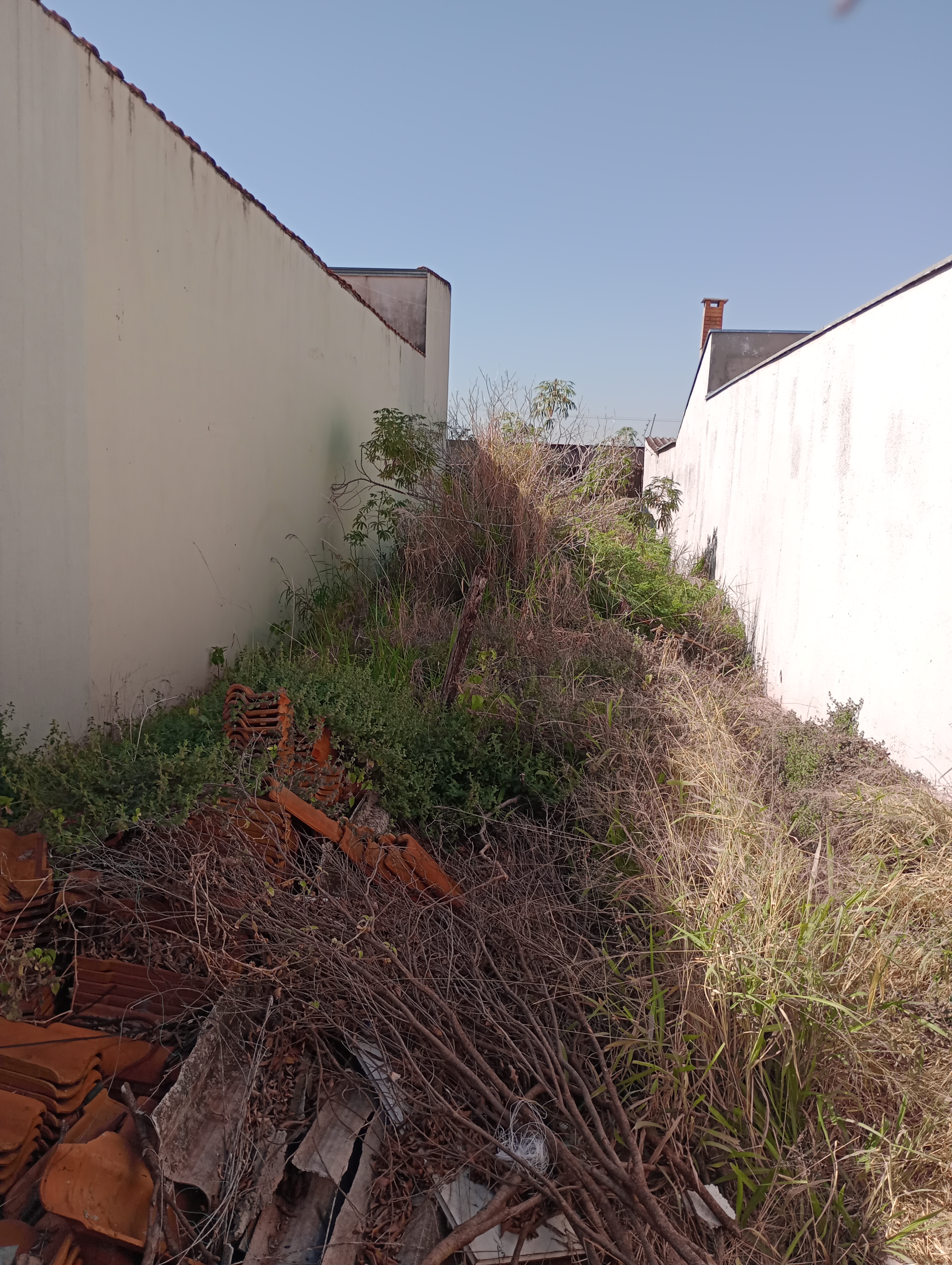 Imagem Terreno à Venda, 125 m² em Jardim Jandaia - Ribeirão Preto