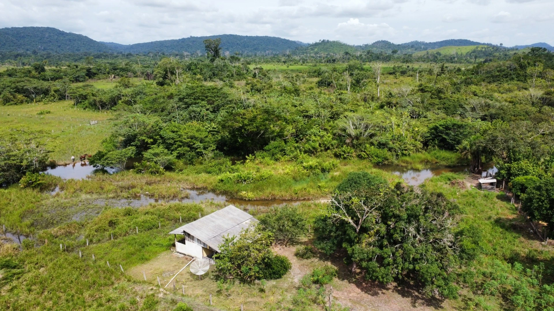 Foto do imóvel: Fazenda à Venda, 900 Alq. GO em São Félix do Xingu - São Félix do Xingu