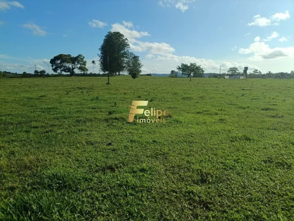 Imagem MARAVILHOSA FAZENDA PARA PLANTIO DE CAFÉ.