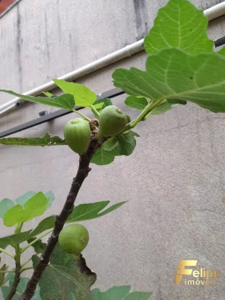 Imagem CASA EM CONDOMÍNIO FECHADO COM 4 QUARTOS EM VILLAGE DO SOL