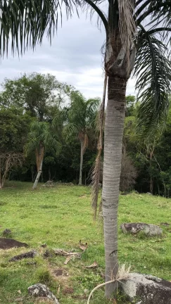 Imagem Terreno à venda em Garopaba-SC, bairro Macacu, com 10.000m² de área - Oportunidade única!