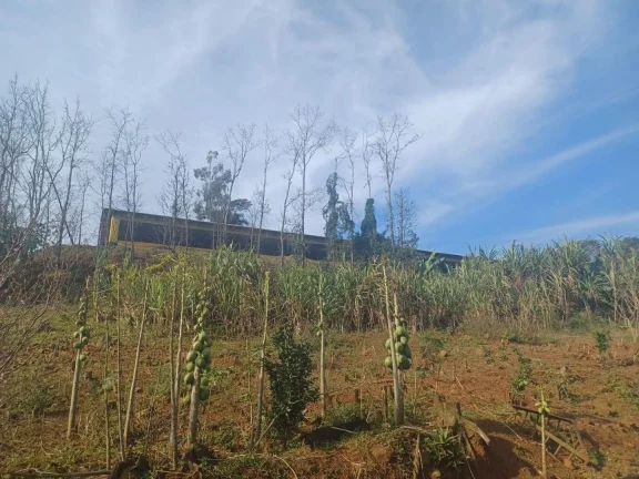 Imagem Área Agrícola para Venda em Concórdia, Interior