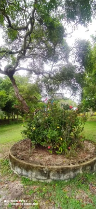 Imagem BELÍSSIMA ÁREA PARA CONDOMÍNIO EM SANTO ANDRÉ BAHIA