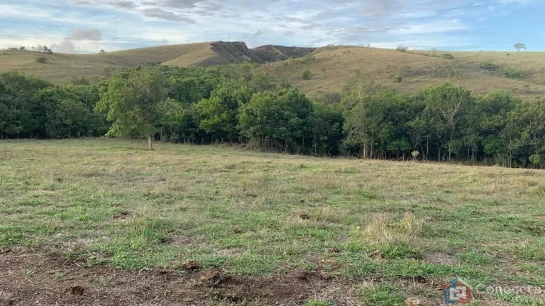 Imagem Sítio à Venda na Comunidade Caixetas – Guimarânia-MG | 11,9 Hectares com Casa de 186m² – R$ 700 Mil