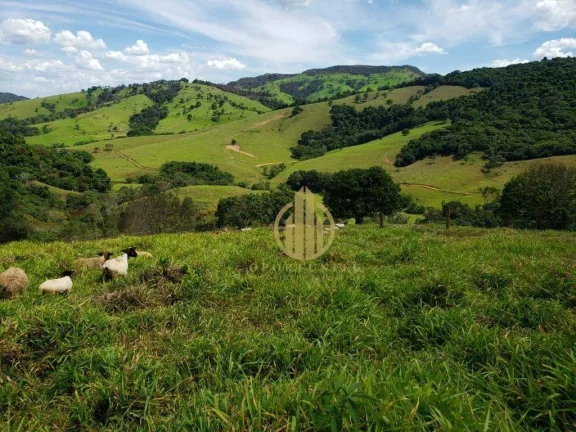 Imagem Área para lazer e ou cultivo venda, 730000 m² por R$ 4.000.000 - Zona Rural - Capitólio/MG