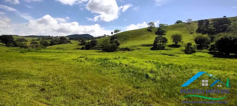 Imagem Paraíso na Serra da Mantiqueira: Seu refúgio com natureza exuberante!