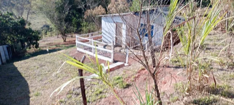 Imagem Chácara à Venda