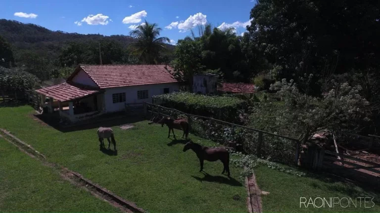 Imagem Fazenda à Venda, 94.041.000 m² em Zona Rural - Ipameri