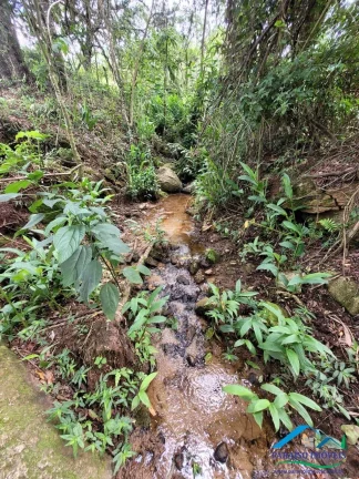 Imagem Refúgio na Mantiqueira: Seu Paraíso rural entre Gonçalves e Paraisópolis!