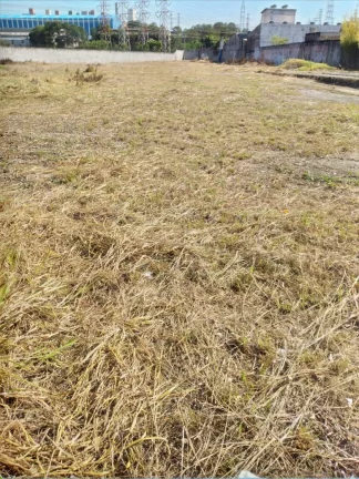 Imagem TERRENO PLANO PARA LOCAÇÃO NO JARDIM BOM PASTOR SANTO ANDRÉ