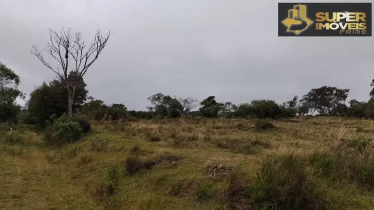 Imagem Fazenda para Venda em Centro Canguçu-RS - 2055