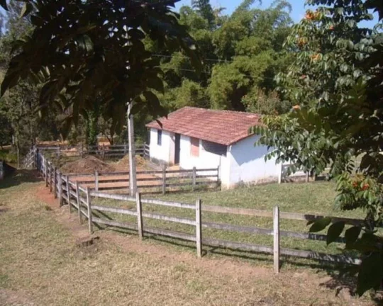 Imagem LINDO HARAS à VENDA, EM JUATUBA!