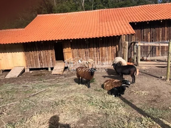 Imagem Propriedade rural de sítio e alto padrão com negócio de locação de cabanas. São 13 hectares escritura pública 05 cabanas 01 sede