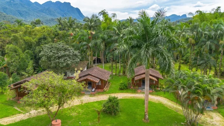 Imagem Chácara 81.756,00 m2 Porto de Cima