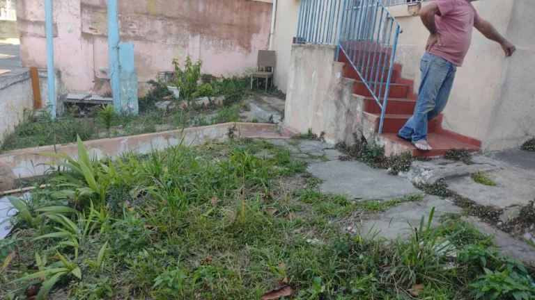Imagem Casa à venda no bairro Parque Novo Oratório - Santo André/SP