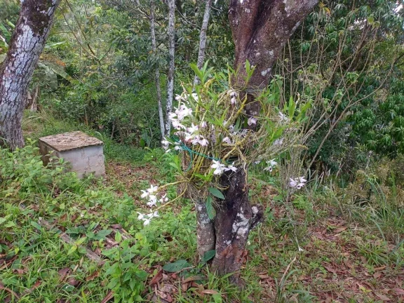 Imagem Chácara para Venda em Pedro de Toledo, Fazenda São José, 2 dormitórios, 1 banheiro, 8 vagas
