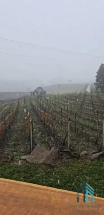 Imagem - Fazenda, Vinícola, Sítio, A VENDA, próximo ao centro de São Joaquim SC