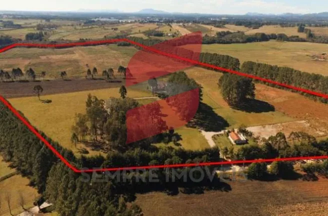Imagem ÁREA à venda com 362379m² por R$ 36.600.230,52 no bairro Campo Largo da Roseira - SÃO JOSÉ DOS PINHAIS / PR