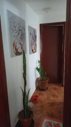 Imagem Casa para Venda em São Paulo, Jardim Eledy, 2 dormitórios, 2 banheiros, 2 vagas