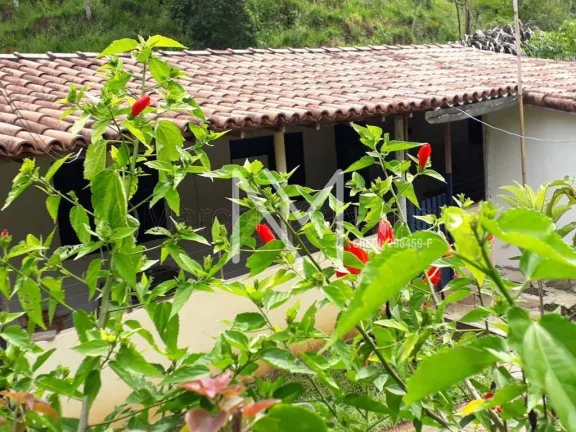 Imagem Sítio para venda 65.000m² de área - Bairro do Turvo Zona Norte - SJC