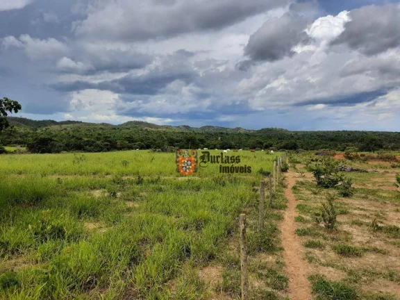 Fazenda à venda, 1370ha m² por R$ 14.200.000 - Zona Rural - Arinos/MG