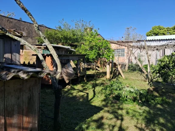 Imagem Casa com 3 Dormitorio(s) localizado(a) no bairro Krahe em Viamão / Rio Grande do Sul Ref.:57580116