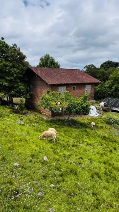 Imagem Chácara - Sítio com 2 Dormitorio(s) localizado(a) no bairro Serra Grande em Três Coroas / RIO GRANDE DO SUL Ref.:1597