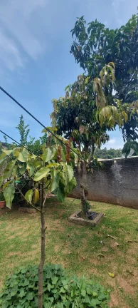 Imagem Casa Comercial à Venda em Franco da Rocha - Jardim Luiza: 1 Quarto, 1 Sala, 5 Vagas de Garagem e 180m² de Área.