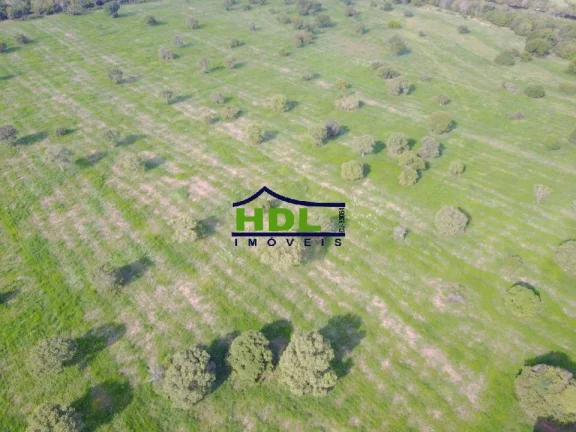 Imagem Fazenda especial 298 Alqs Cocalinho MT faz permuta prox a Goiânia