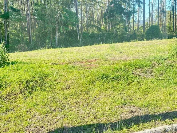 Imagem LOTEAMENTO RESIDENCIAL E COMERCIAL LA VITÓRIA criciuma sc
