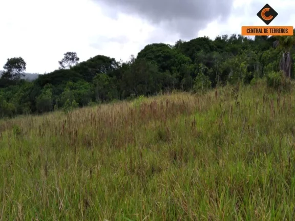 Imagem TERRENO NA VIA PARAFUSO