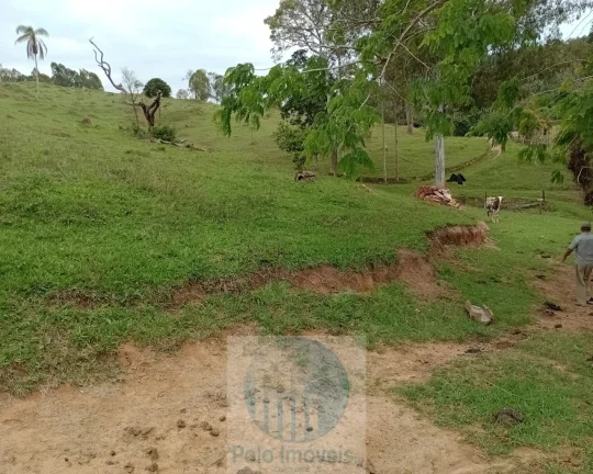 Imagem Sítio 20 ha ou 8,26 alq. a venda, para café, gado Jacui Sul de Minas Gerais