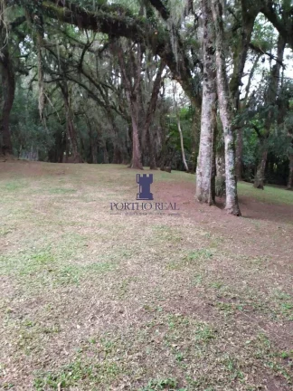 Imagem CHÁCARA EM CAMPO LARGO COM 8.655,80M2.
Belíssima Chácara com 8.655,80 m2,localizada em região no...