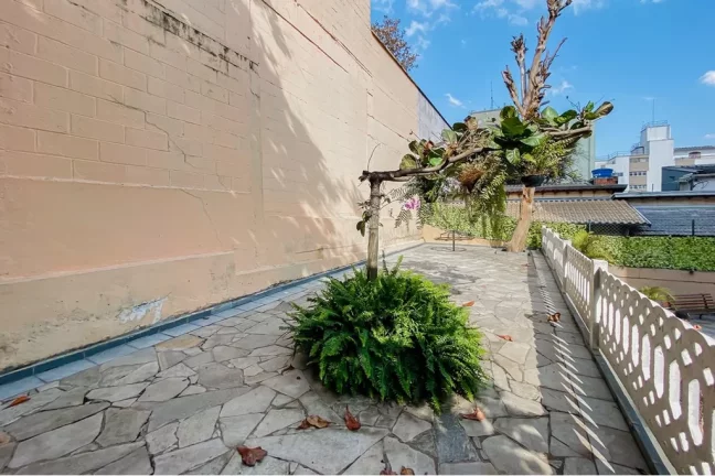 Imagem Apartamento com 3 Quartos à Venda, 84 m² em Vila Paulicéia - São Paulo Imagem Apartamento com 3 Quartos à Venda, 84 m² em Vila Paulicéia - São Paulo