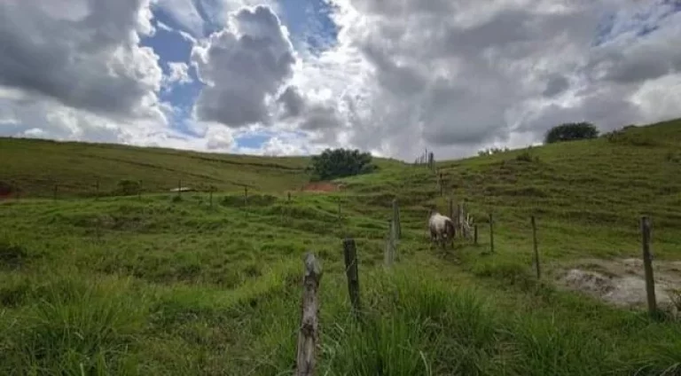 Imagem Fazenda em Macaé - RJ, Área rural