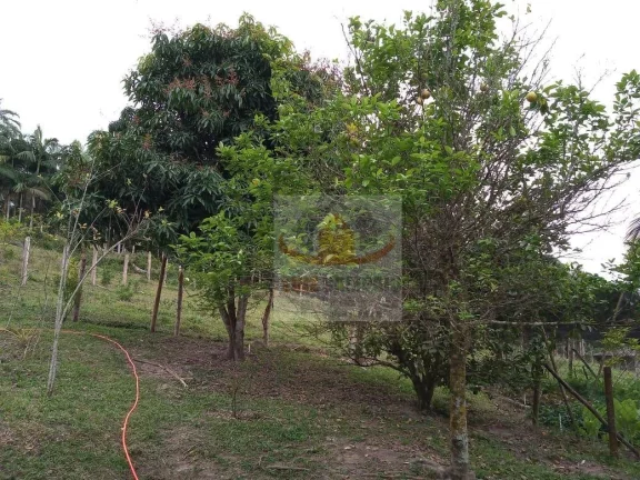 Imagem Sítio à venda, 72000 m² por R$ 400.000,00 - Padre André - Jacupiranga/SP