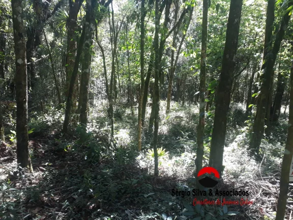 Imagem Terreno a Venda na Região da Vila Natal em Campos do Jordão - SP.
