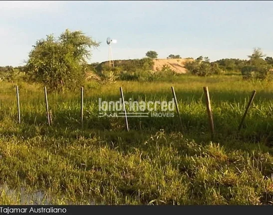 Imagem Fazenda à Venda no Paraguai por 900 dólares por hectare com Alto Potencial Pecuário
