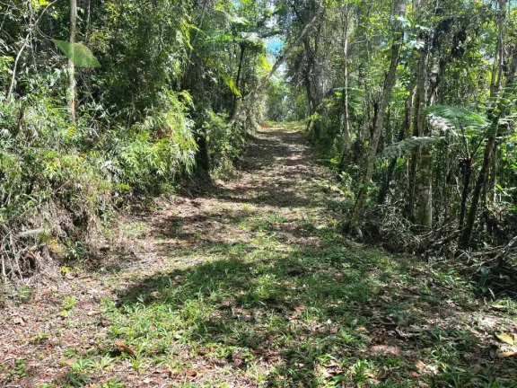 Imagem Sitio com 36.000m2 e com nascente a venda por R$ 480.000,00 - Sabaúna - Mogi das Cruzes/SP