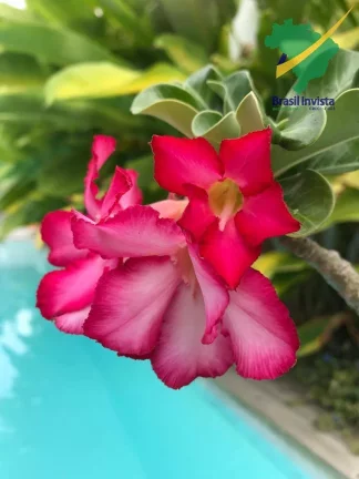 Imagem OUTEIRO DAS BRISAS