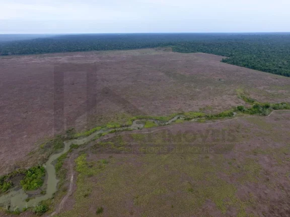 Imagem CASAL IMÓVEIS VENDE FAZENDA EM PARAGOMINAS 700 ALQUEIRES