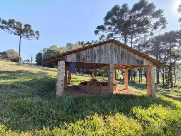 Imagem CHÁCARA NA REGIÃO NO BUGRE EM BALSA NOVA