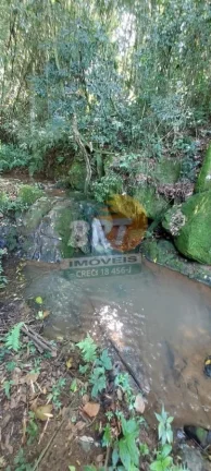 Imagem Sítio para Venda em São Roque, Ibate, 3 dormitórios, 3 suítes, 1 banheiro
