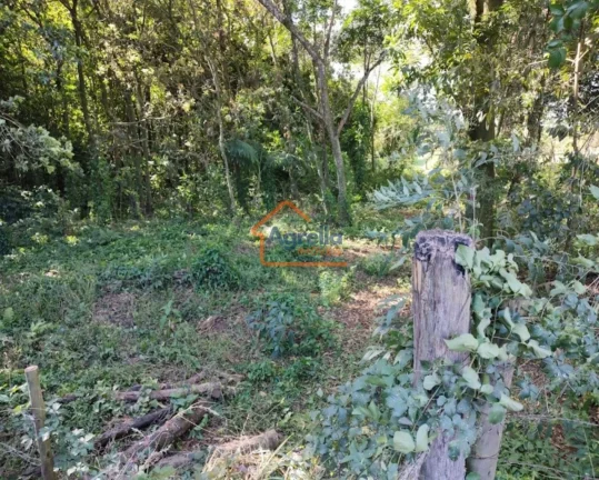 Imagem Sítio à venda no bairro CAPÃO DA TENDA - Mogi Mirim/SP