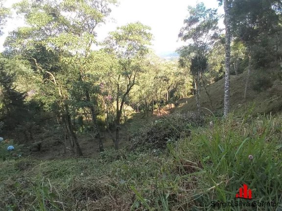 Imagem Terreno a Venda Com 3.138,00 m², Região do Morro do Elefante.